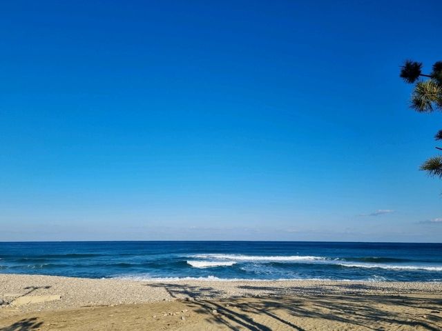 강릉여행 필수코스~! 숨은 명소: 🏖강문해변💙🩵💙🩵
