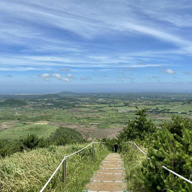 제주여행🏝️ 제주의 진짜 바람을 만나고 싶다면, 다랑쉬 오름으로🌬️