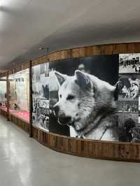 【秋田】秋田犬を間近で見れて歴史に触れらる場所🐕