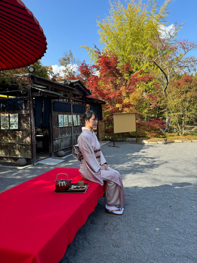 〜京都府〜紅葉の名所永観堂(えいかんどう)