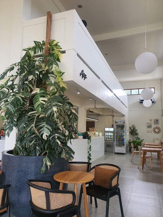 🌿Alita Cafe 
