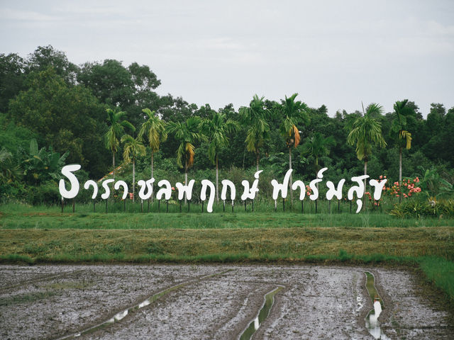รีสอร์ทท่ามกลางธรรมชาติ 🏡