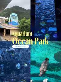 Review 🐠 อควาเรียมที่ตั้งอยู่ภายใน Ocean Park