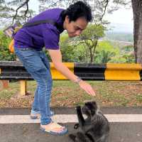 Make new friends 