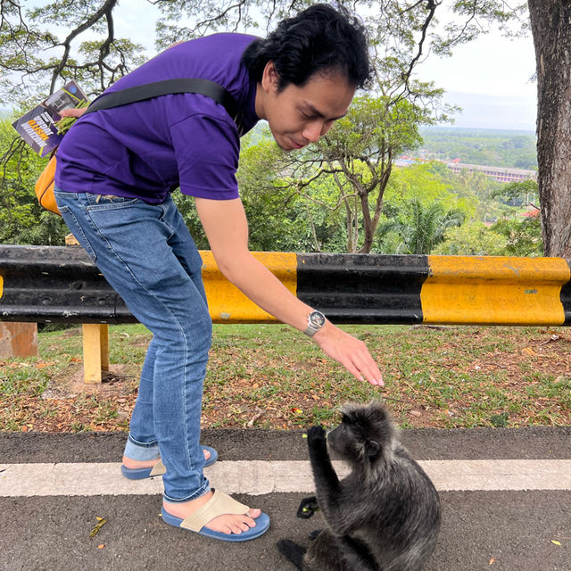 Make new friends 