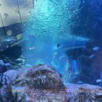 SEA LIFE Bangkok Ocean World