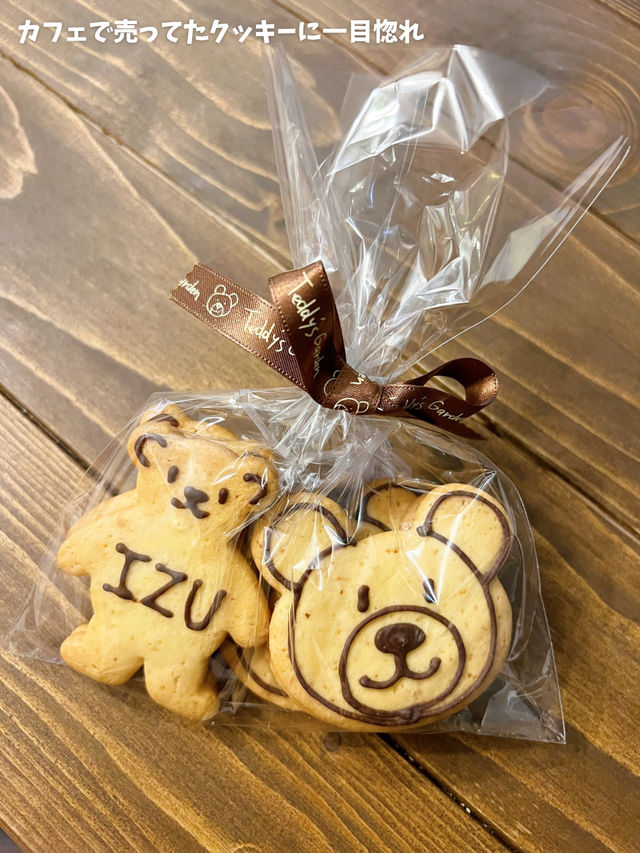 ¥3,000で食べて楽しもう！猫バスに乗りに行こう🫶