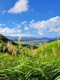 【大観峰:熊本県阿蘇市】綺麗すぎる緑の夏の絶景✨