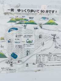 【信州・八島湿原】標高1630m高層湿原の美味しい空気を吸いながら散策しよう