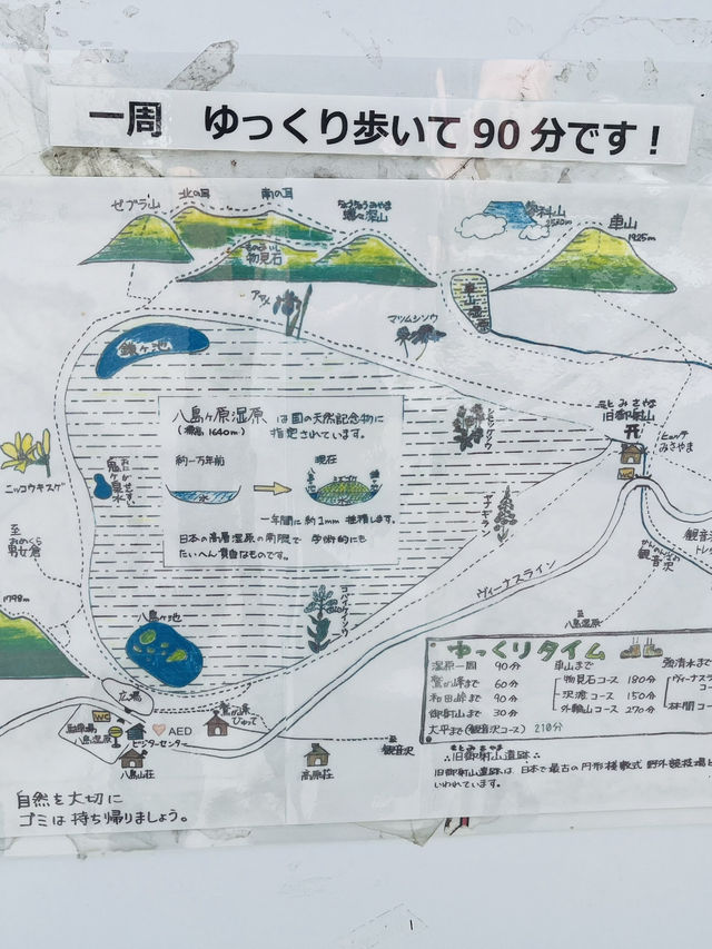 【信州・八島湿原】標高1630m高層湿原の美味しい空気を吸いながら散策しよう
