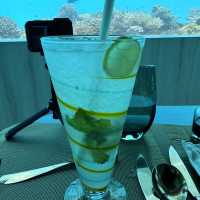 몰디브 오젠라이프 마두