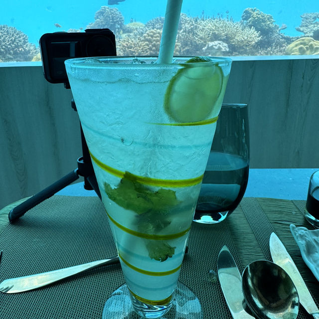 몰디브 오젠라이프 마두 몰디브 오젠라이프 마두