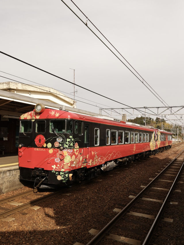 [金澤] 情侶必坐的觀光列車 花嫁暖簾號