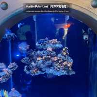 🐧Harbin Polar land 哈爾濱極地公園·極地館 
