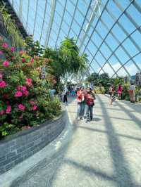 The best place to see beautiful flowers in Singapore