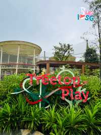 🇸🇬 Play at Treetop Play
