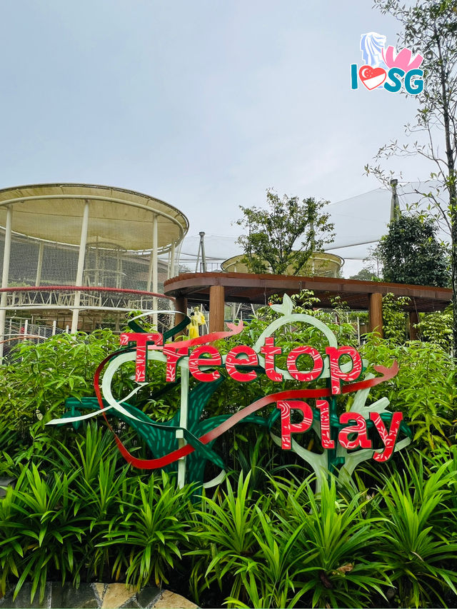 🇸🇬 Play at Treetop Play