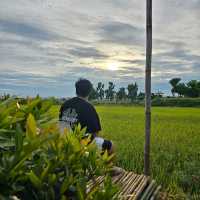 ร้านบรรยากาศเงียบสงบ  ร้าน White cantas