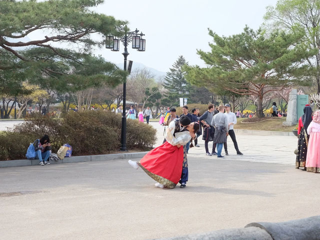 เที่ยวพระราชวังเคียงบก เกาหลี ในยุคโชซอน 🇰🇷👑🏯