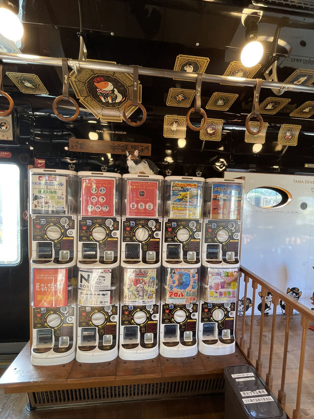 【和歌山県】とにかく可愛い！360度ネコ尽くしの観光列車