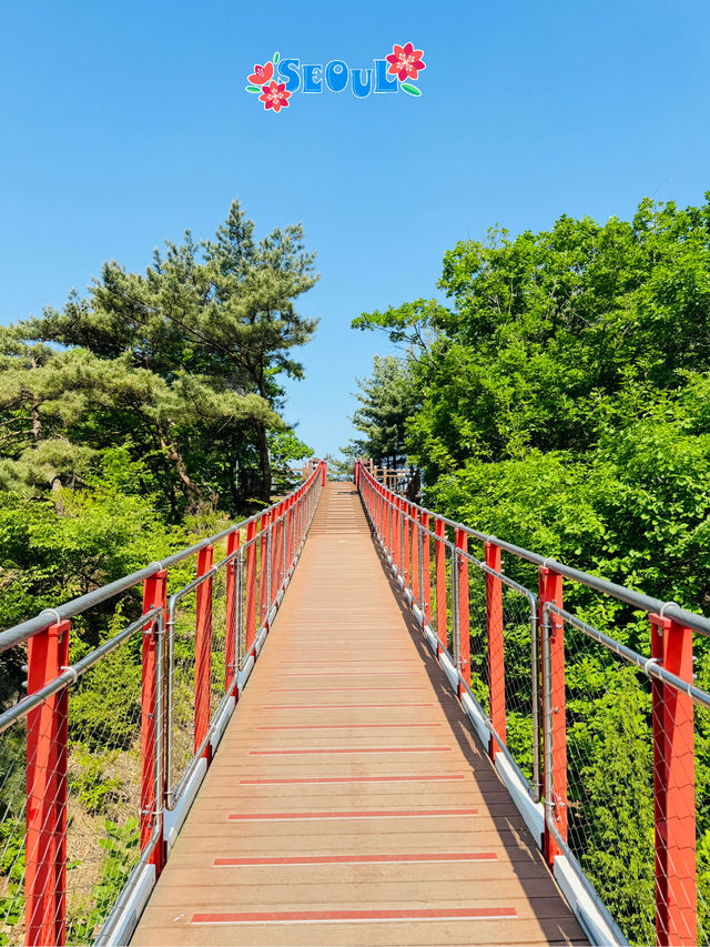 🇰🇷 Let’s go hiking to Gamaksan Suspension Bridge