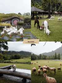 8 จุดเช็คอินสุดฟินใกล้กรุง ที่ราชบุรี-สวนผึ้ง🌿💚