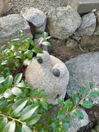 【福岡 小郡】かえると風鈴がいっぱいの寺🐸🎐