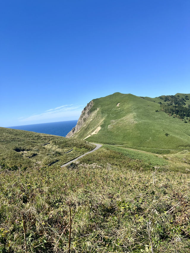 【礼文島】花の浮島桃岩展望台✨