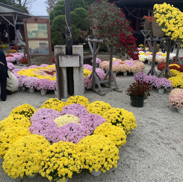 笠間稲荷神社！！