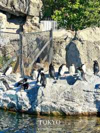 東京だけどどこか遠くへきたみたいな雰囲気の水族館【東京/葛西臨海公園】