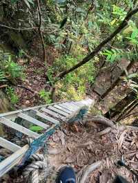 Conquering Mount Santubong: A Local Favorite Hiking Trail in Kuching