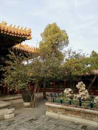 Autumn in the Forbidden City: A Journey Through History and Beauty 