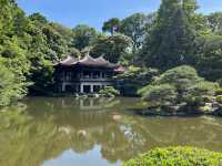 Shinjuku Gyoen National Garden: A Serene Oasis Amidst the Urban Jungle