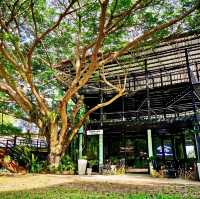 คาเฟ่ในสวนบรรยากาศสุดชิล