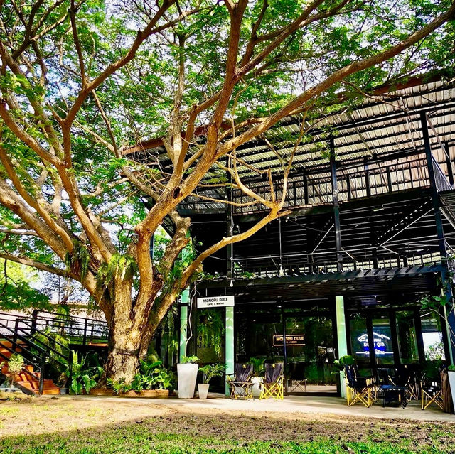 คาเฟ่ในสวนบรรยากาศสุดชิล