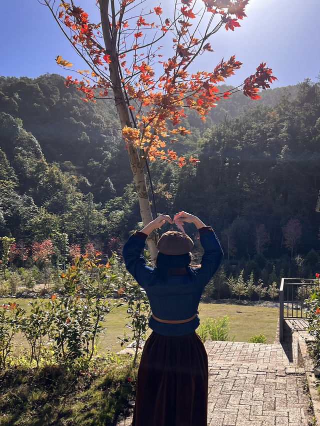 嶺南紅葉世界——廣東賞楓打卡佳選