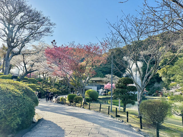 🇯🇵 九州別府 來這裡就夠了！♨️