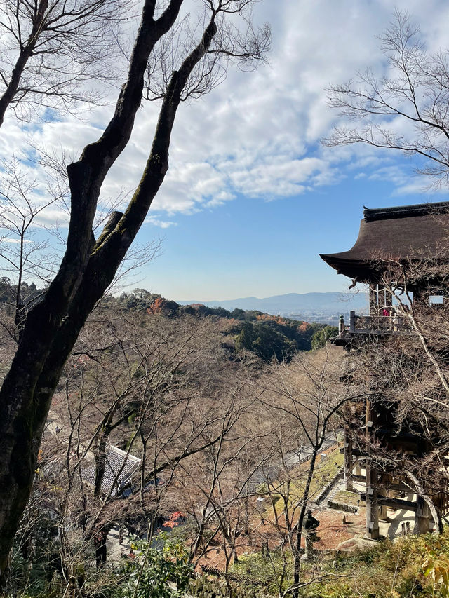 A Walk Through Time: Discovering Kiyomizudera’s Timeless Beauty