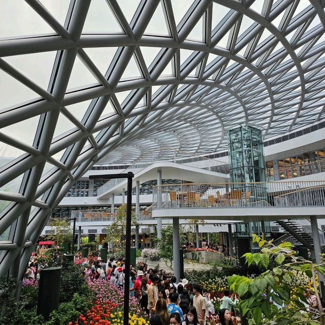 เที่ยวระยอง ชม Miracle of Natural 