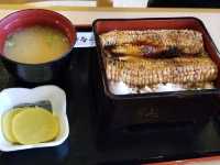 【北海道】羅臼の知床食堂で味わう新鮮な海の幸と地域の歴史