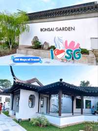 Exploring the Bonsai Garden in Singapore