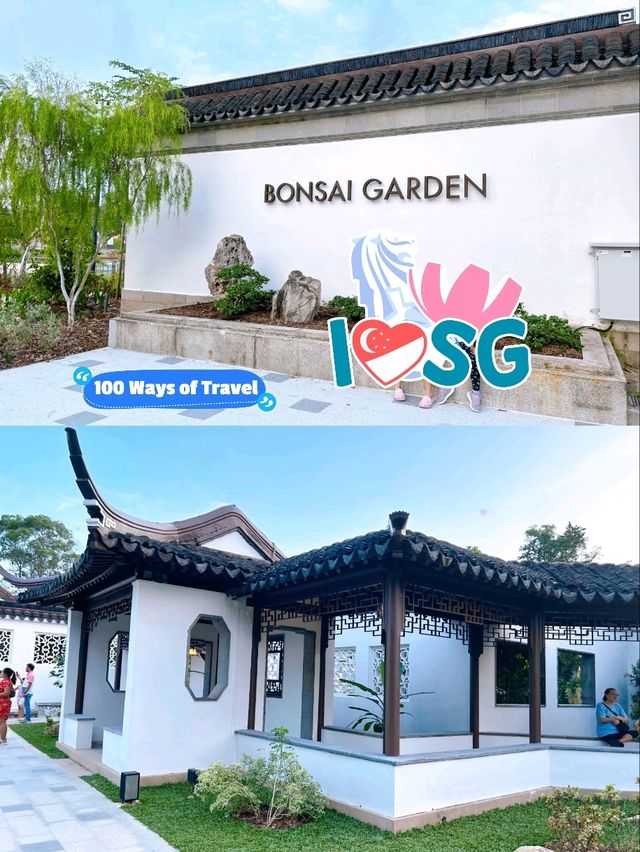 Exploring the Bonsai Garden in Singapore