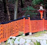 เสน่ห์เมืองเกียวโต ป่าไผ่ Arashiyama