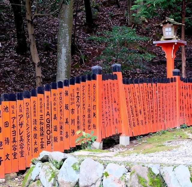 เสน่ห์เมืองเกียวโต ป่าไผ่ Arashiyama