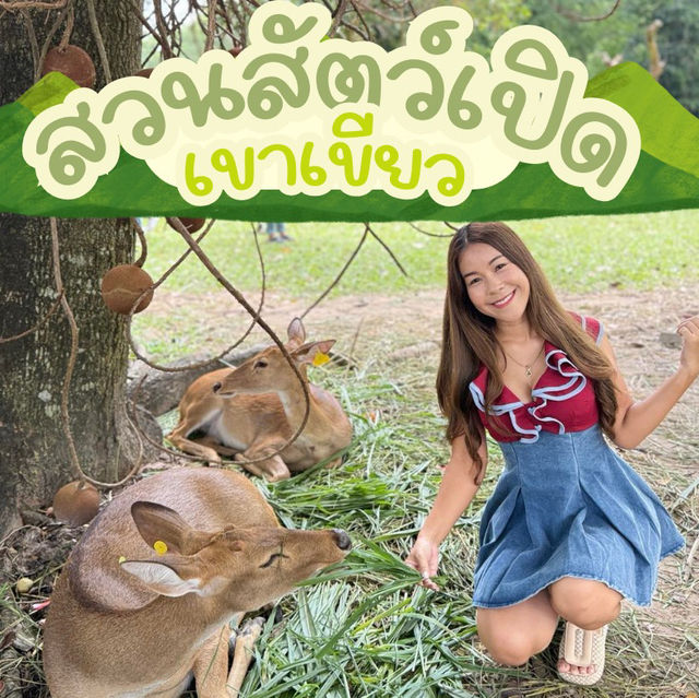มาหาหมูเด้งที่สวนสัตว์เปิดเขาเขียว