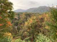 鳴子峡遊歩道