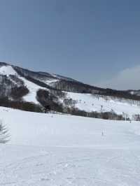 【斑尾高原】長野県と新潟県の県境にあるスキー場⛷