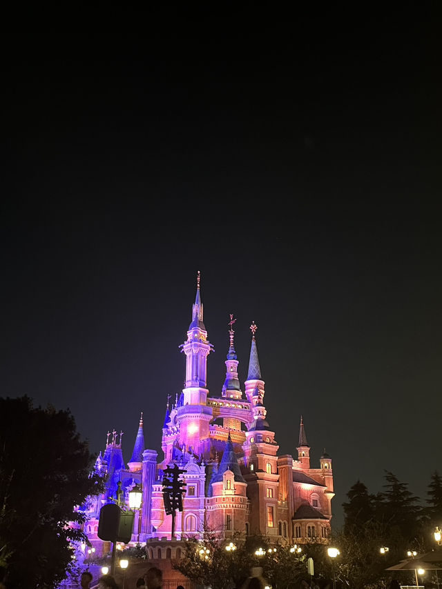 上海ディズニーランドのこれだけは気をつけること！
