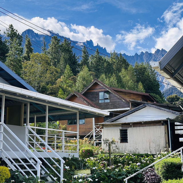 Chasing Kinabalu: My Adventure-Filled Road Trip to Kundasang!