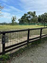 【福岡キャンプ】愛犬と泊まったり食事ができる施設